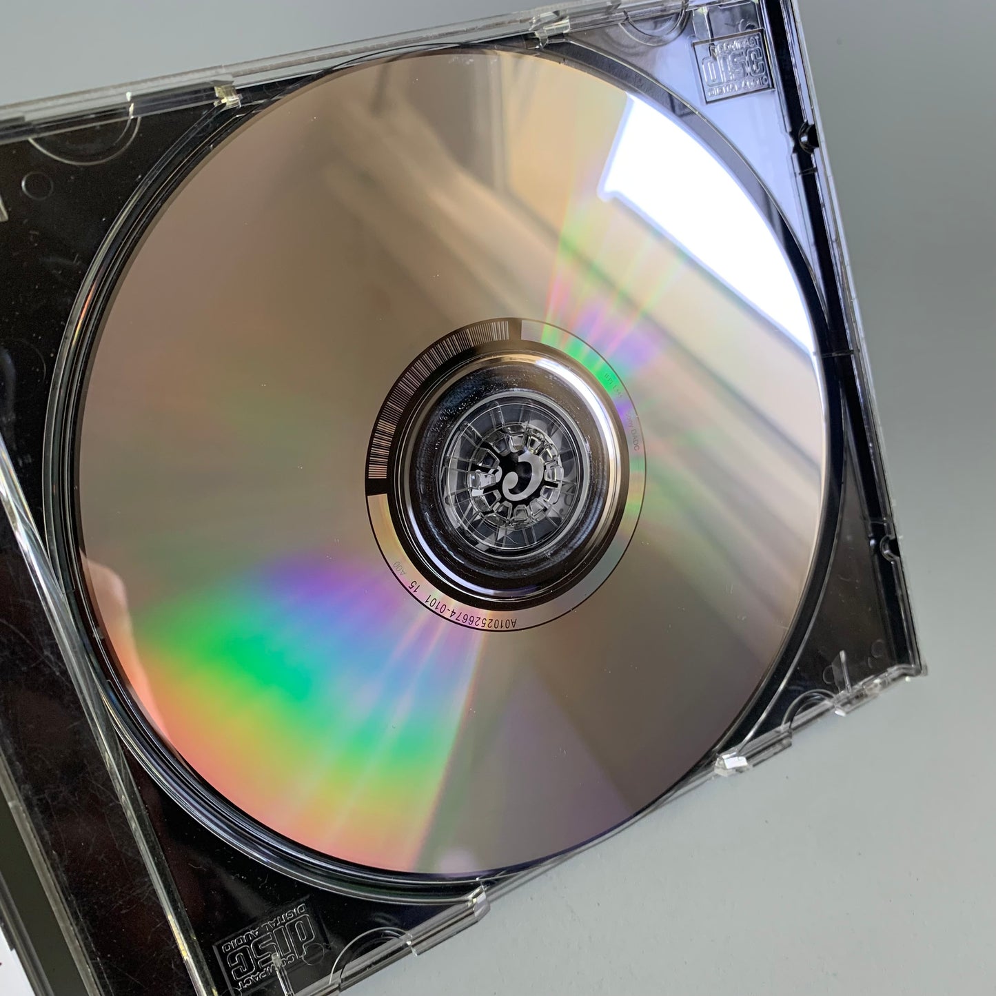 Pitbull - Dale - 2015 Occasion