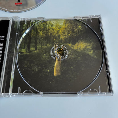 CD - Betzefer - Down Low - 2005