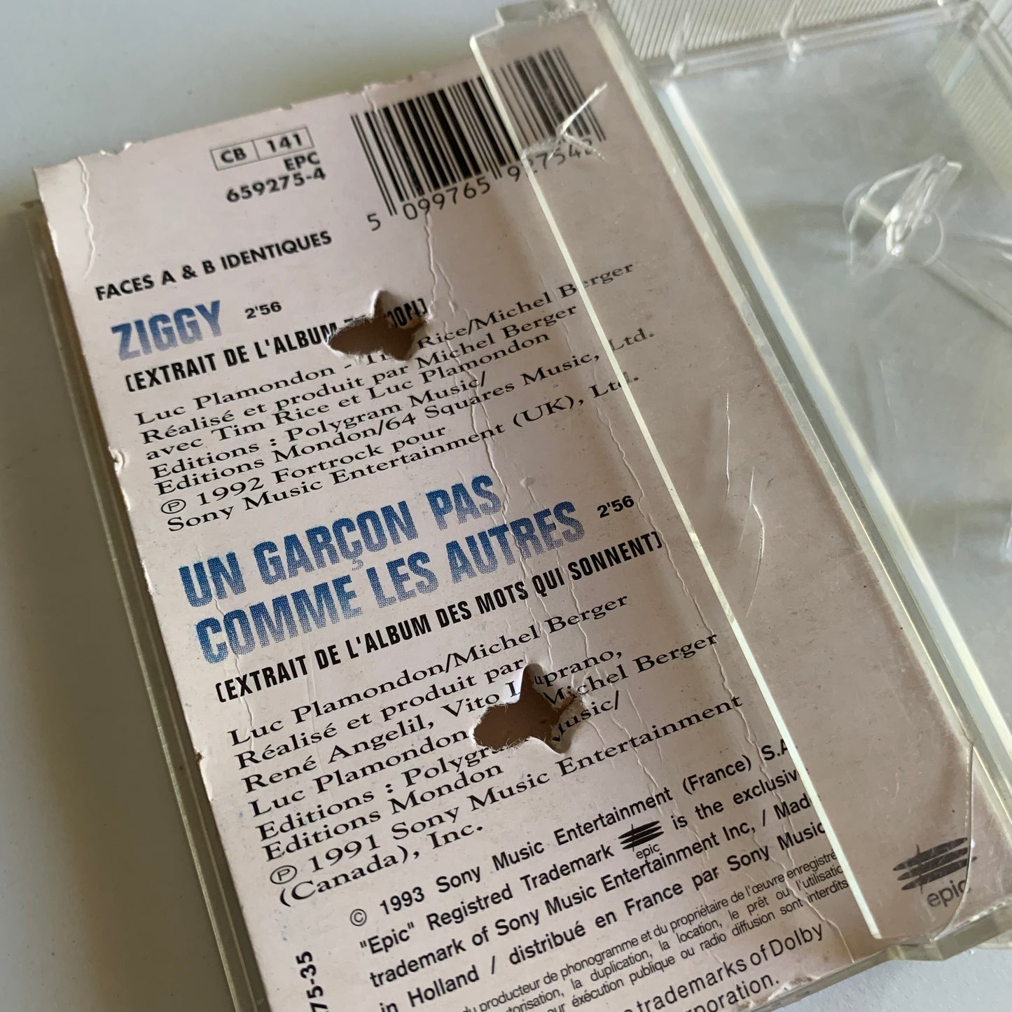 Céline Dion - Ziggy - 1993 Occasion