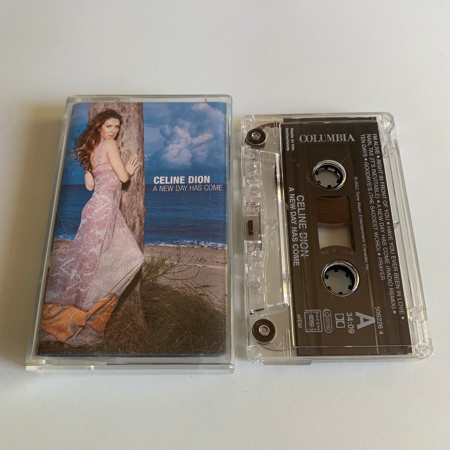 Celine Dion - A New Day Has Come - 2002 Occasion