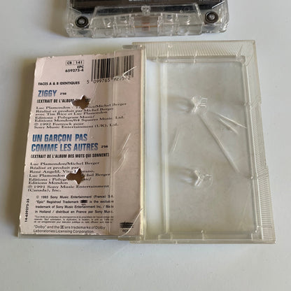 Céline Dion - Ziggy - 1993 Occasion