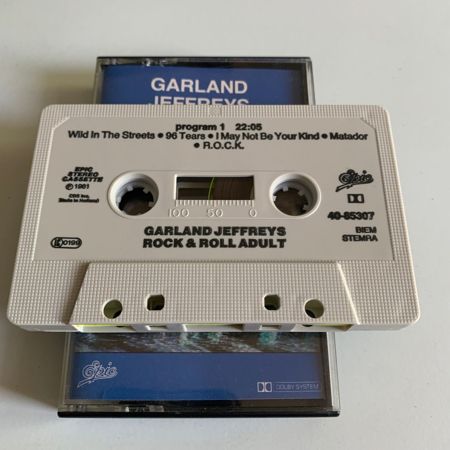 Garland Jeffreys - Rock & Roll Adult - 1981 Occasion