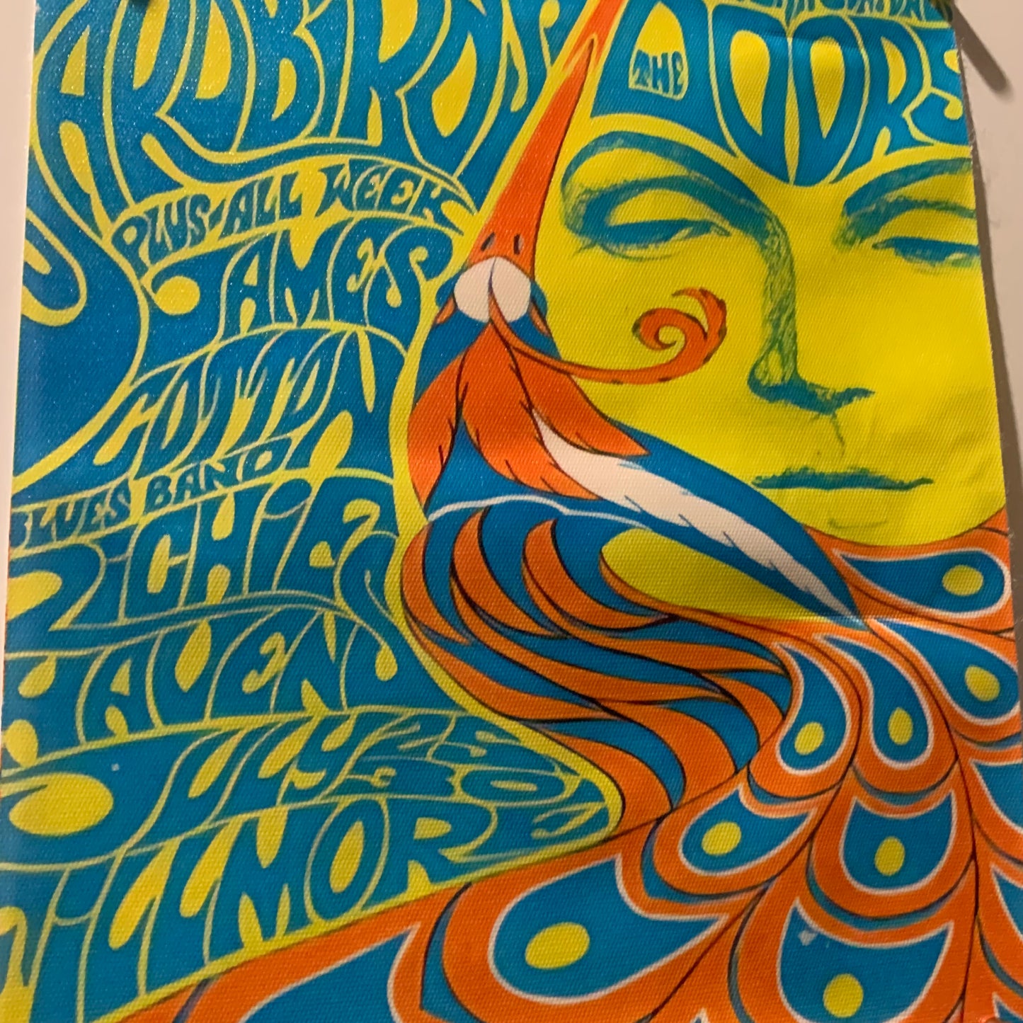 Affiche Poster en Toile - The Doors - Concert 1967 - 25/20cm