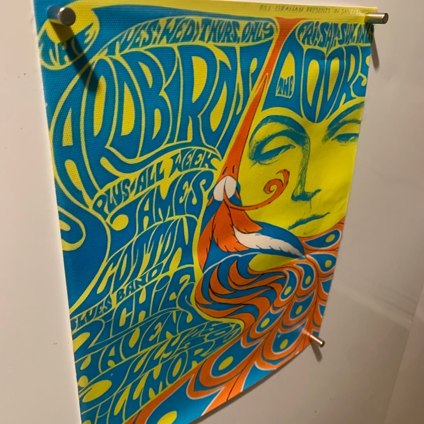 Affiche Poster en Toile - The Doors - Concert 1967 - 25/20cm