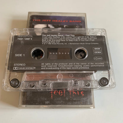 The Jeff Healey Band - Feel This - 1992