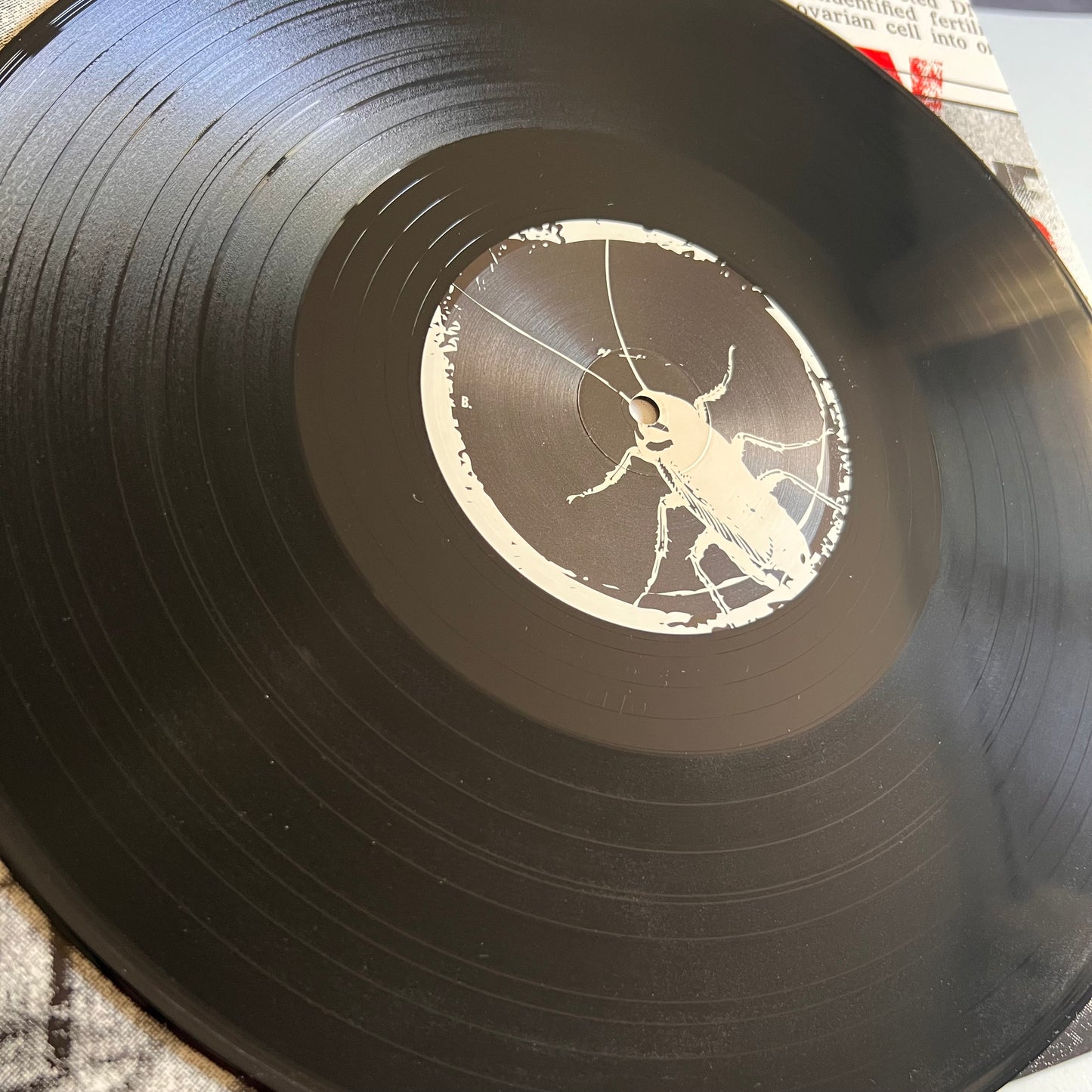 Bury The Living - All The News That's Fit To Scream - LP 2005