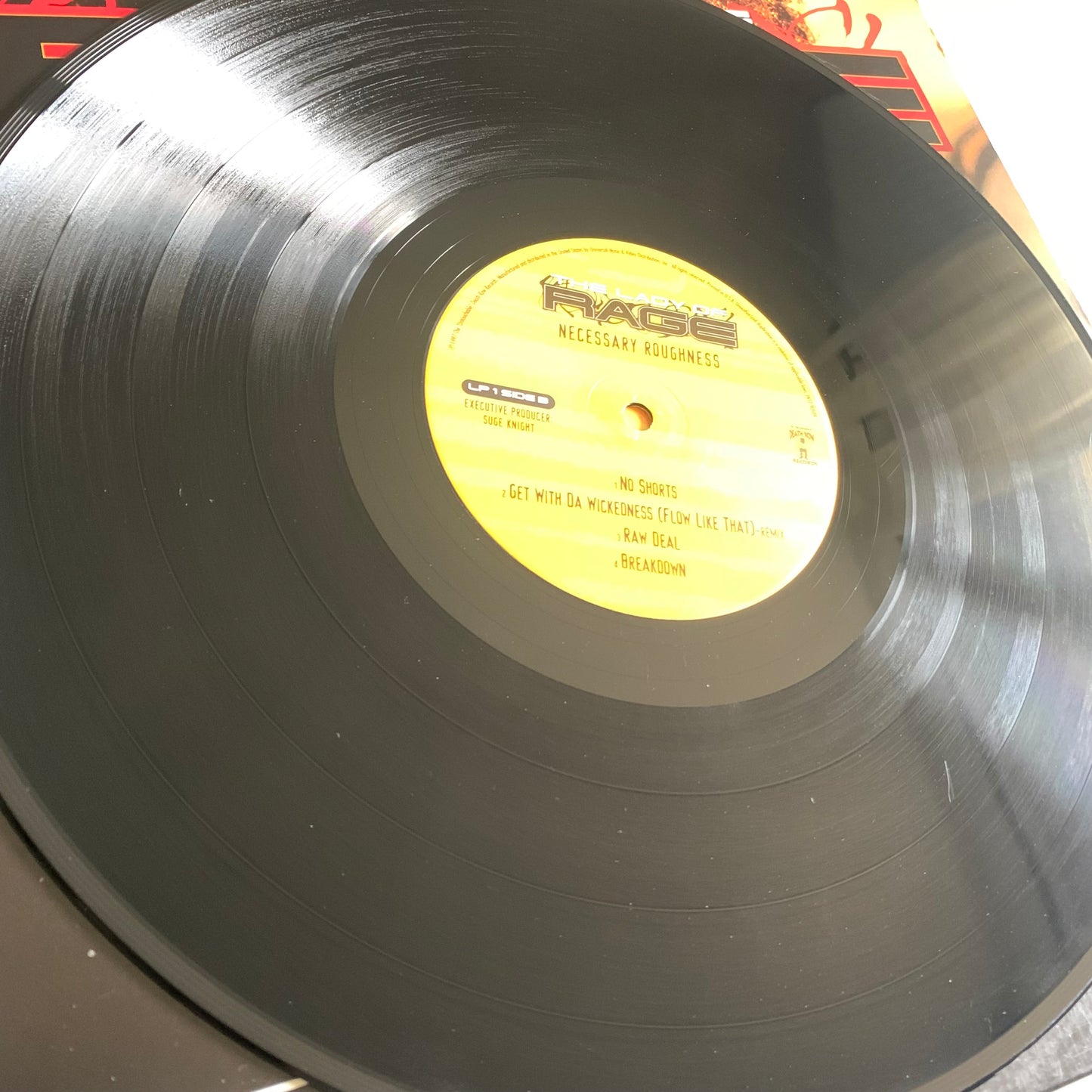 The Lady Of Rage - Necessary Roughness - Double LP 1997
