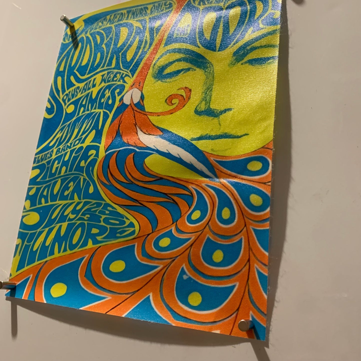 Affiche Poster en Toile - The Doors - Concert 1967 - 25/20cm