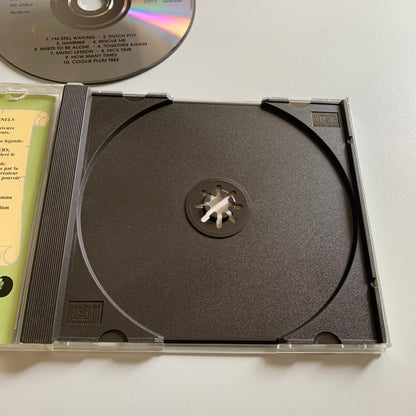 The Never Ending Wailers - The Never Ending Wailers - 1993 Occasion