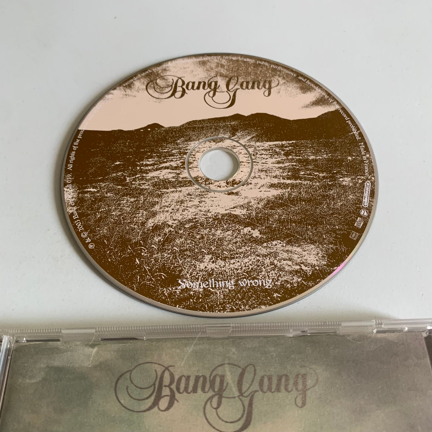CD - Bang Gang - Something Wrong - 2003 Occasion