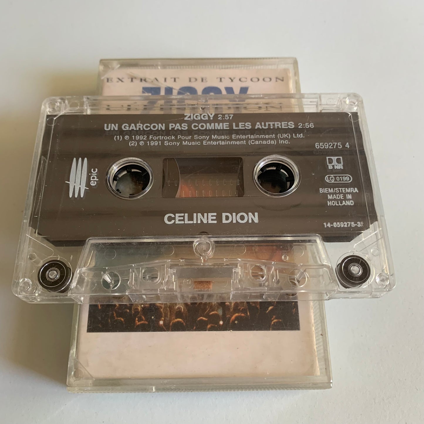 Céline Dion - Ziggy - 1993 Occasion