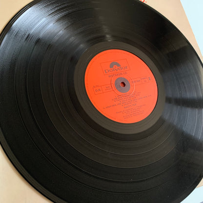 Nasty Pop - Mistaken I. D. - LP 1977