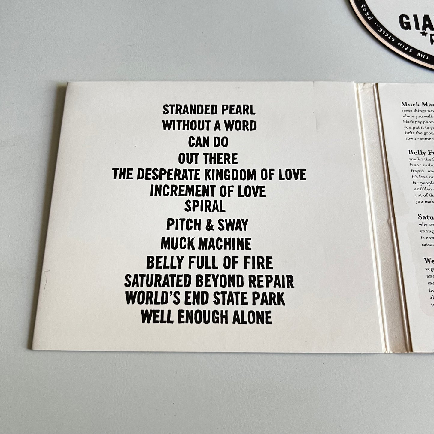 CD - Giant Sand - *proVISIONS* - 2008