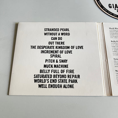 CD - Giant Sand - *proVISIONS* - 2008