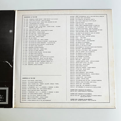 Ray Charles - The Fantastic Ray Charles - Double LP
