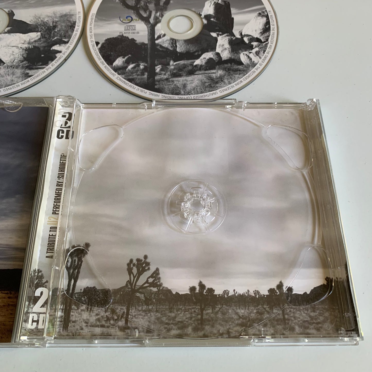 Silhouette - A Tribute To U2 - 2009 Occasion