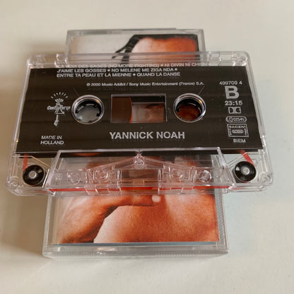 Yannick Noah - 2000 Occasion