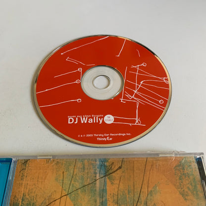 CD - DJ Wally - Nothing Stays The Same - 2003 Occasion