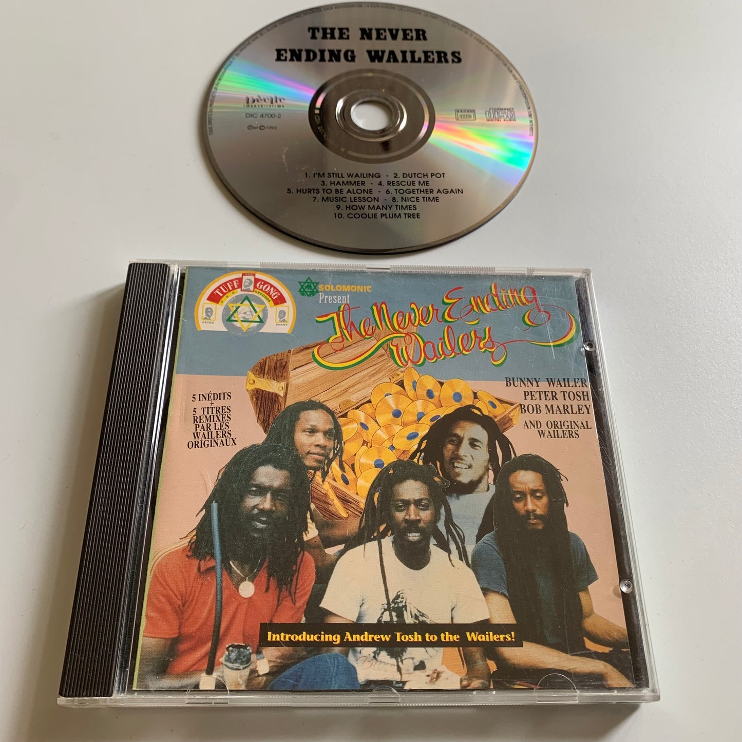 The Never Ending Wailers - The Never Ending Wailers - 1993 Occasion