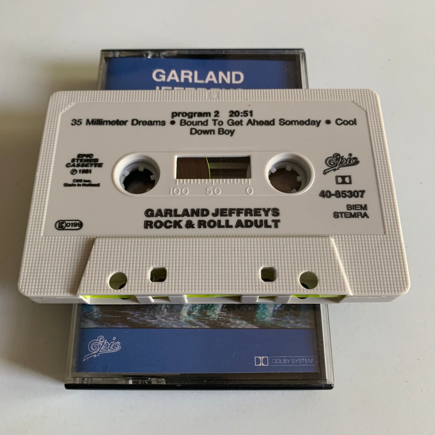 Garland Jeffreys - Rock & Roll Adult - 1981 Occasion