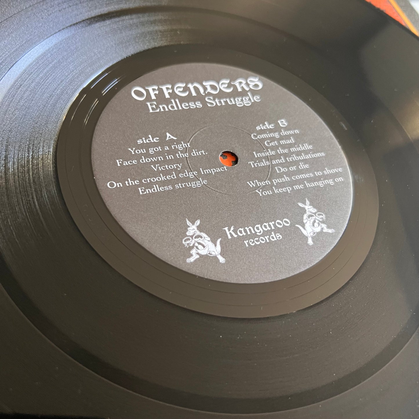 Offenders - Endless Struggle - LP 2005
