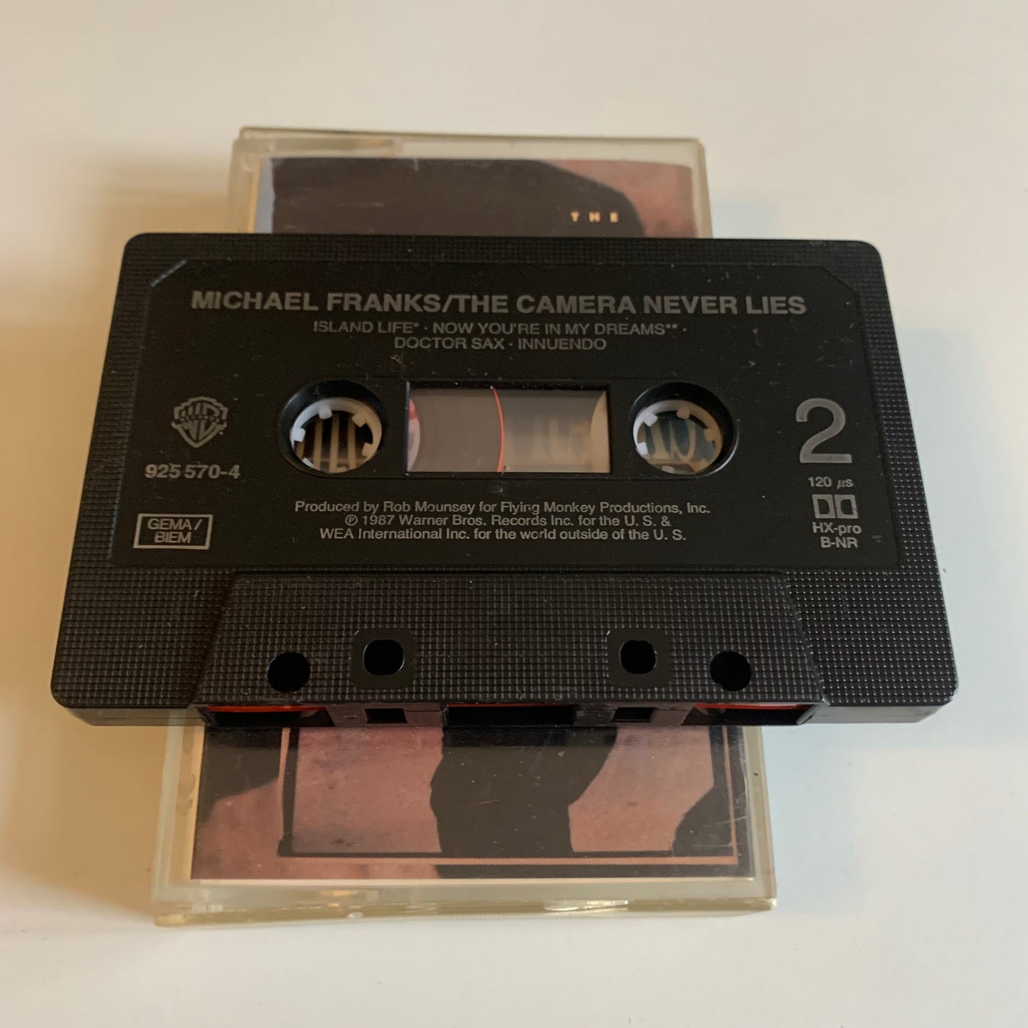 Michael Franks - The Camera Never Lies - 1987