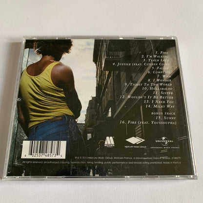 Ayo - Ticket To The World 2013 Occasion