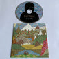 Botibol - Born From A Shore Promo 2011 Occasion